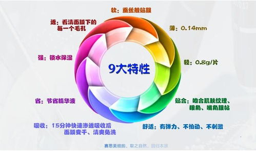 賽思美 以全方位技術支持賦能合作共贏，引領技術開發新篇章